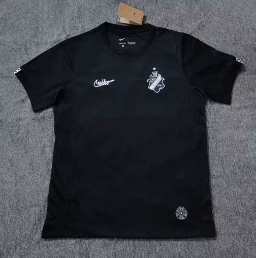 CAMISA AIK TORCEDOR 25/26
